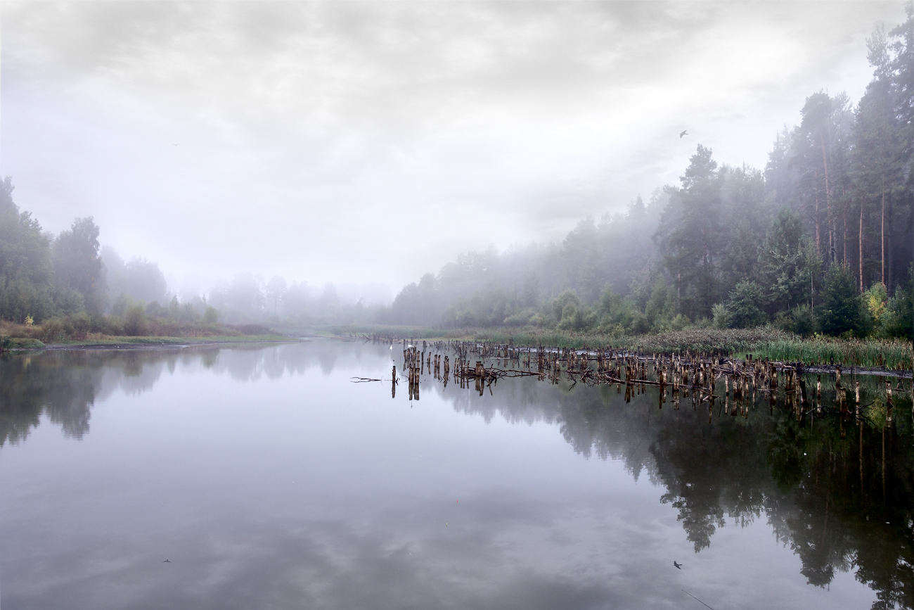 Nebligen Morgen auf dem See ...