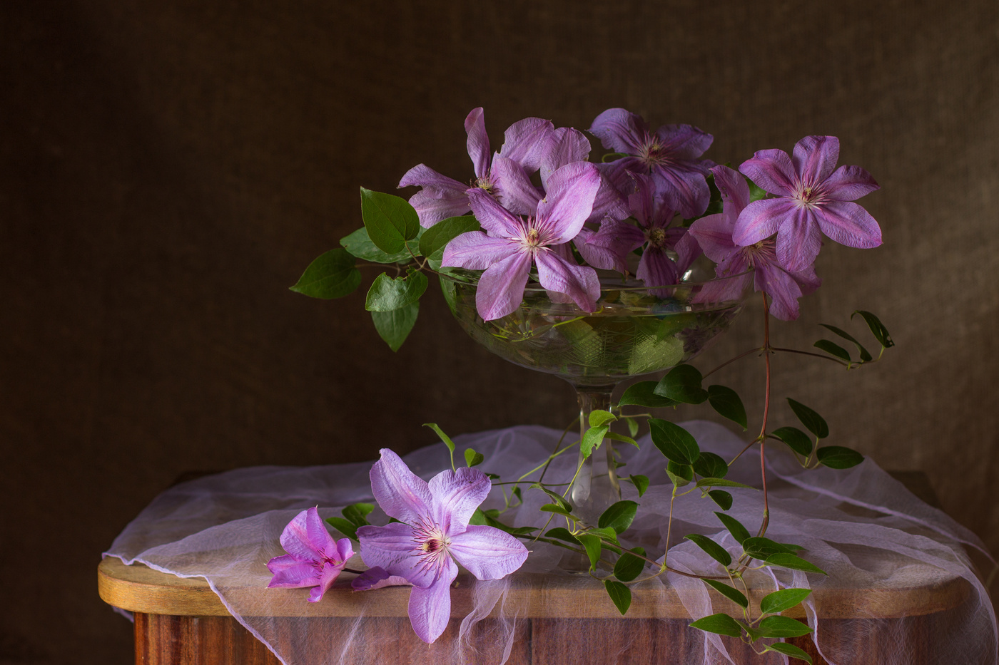 Clematis