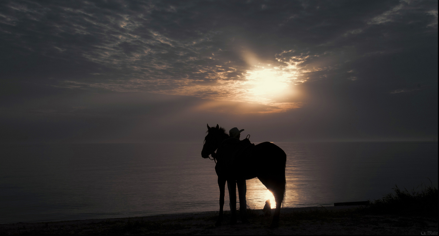 Tag des Ausscheidens.