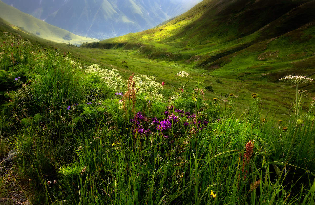 Auf den Hügeln von Georgia ...