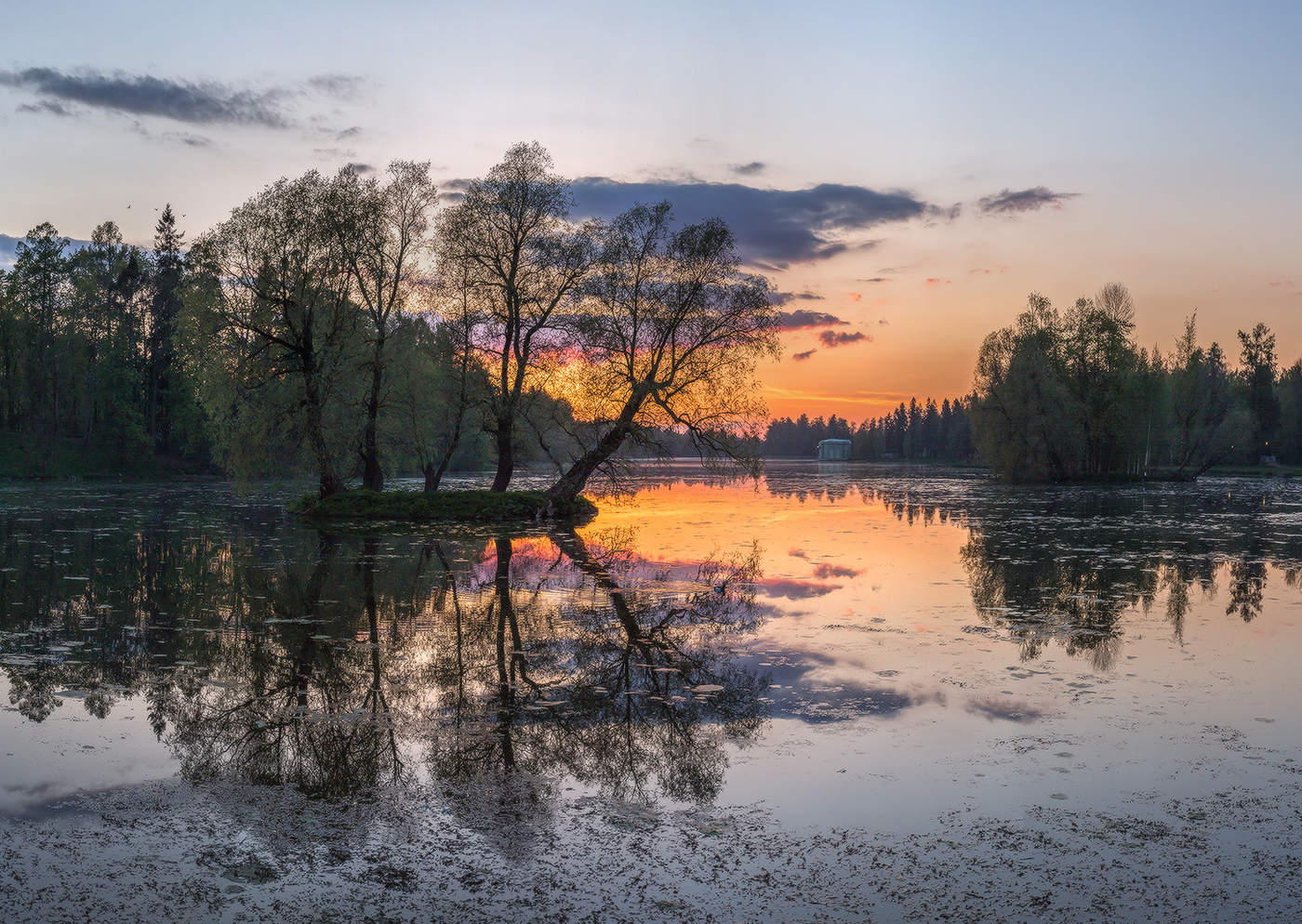 Oberfläche des Wassers.
