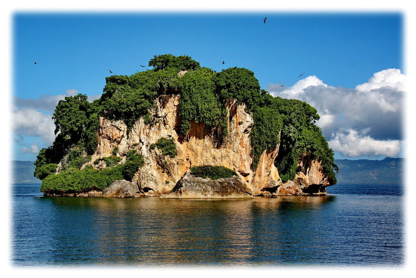 Alle abgedeckt mit viel Grün ...