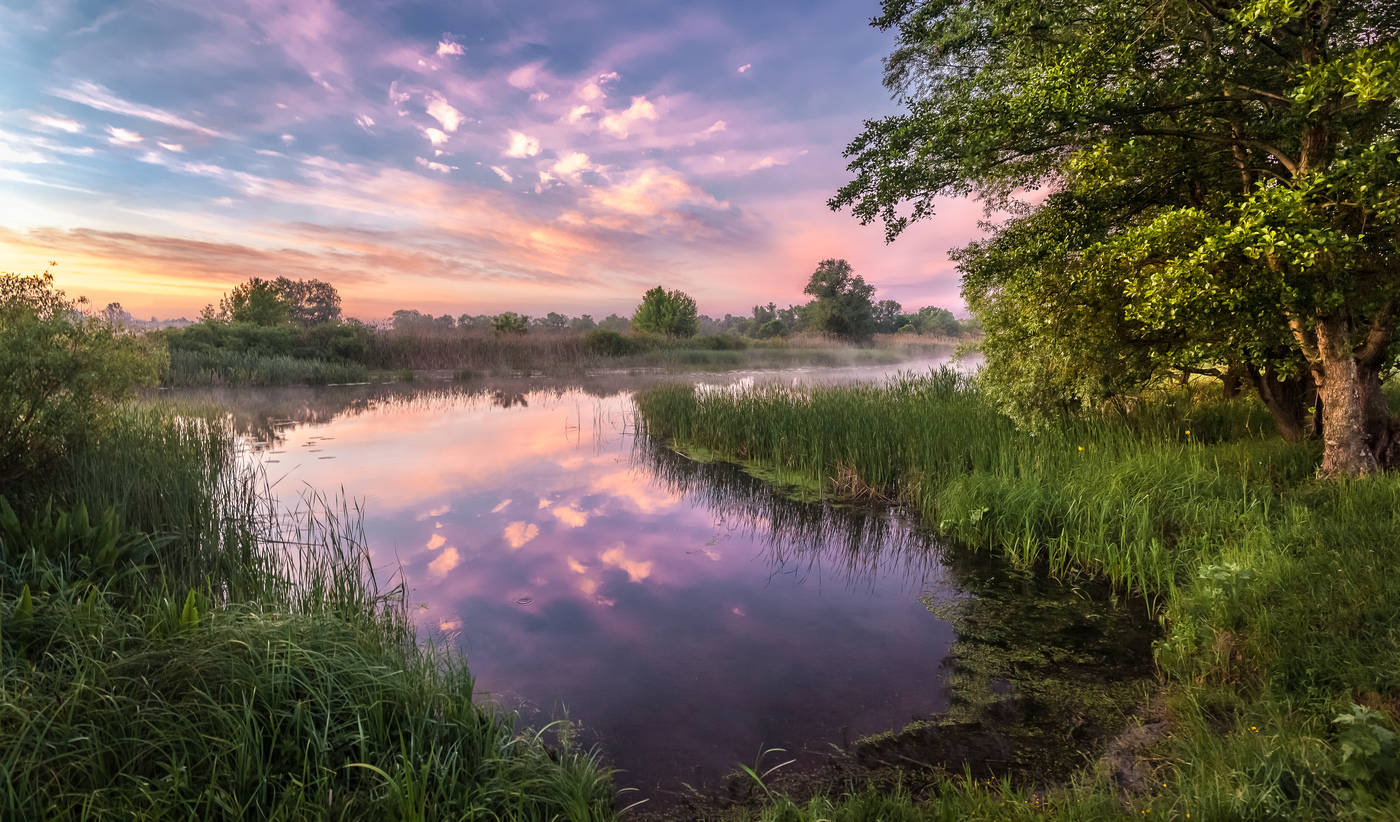 Im Einklang mit der Natur