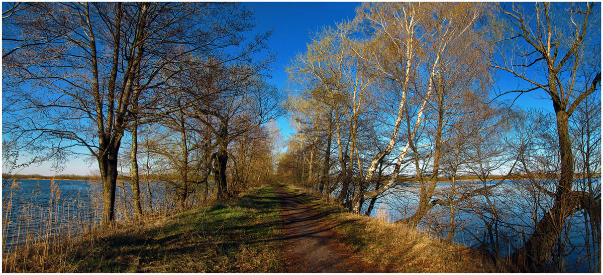 Auf dem Weg die Schatten ...