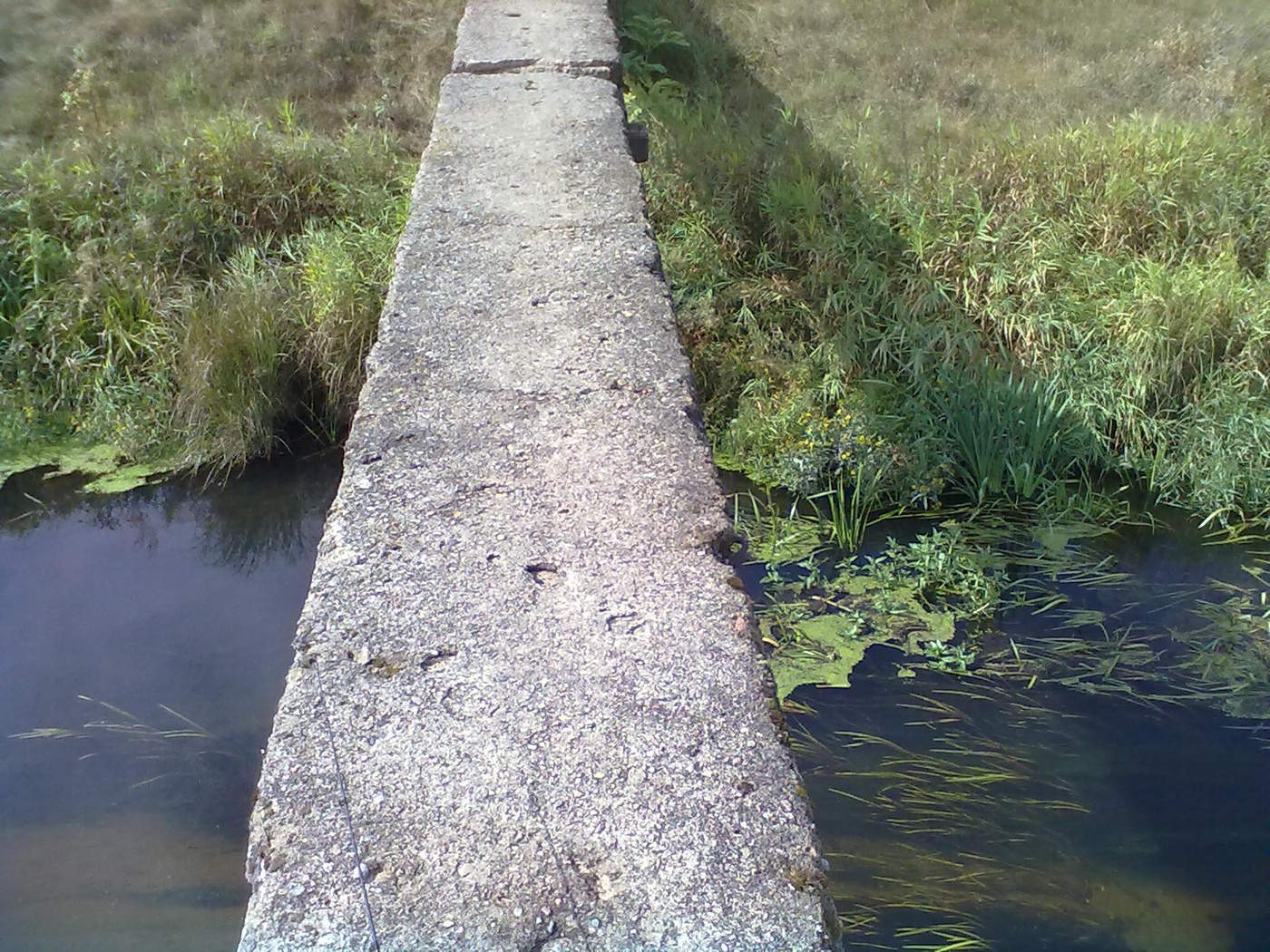 Der Weg von der Kindheit