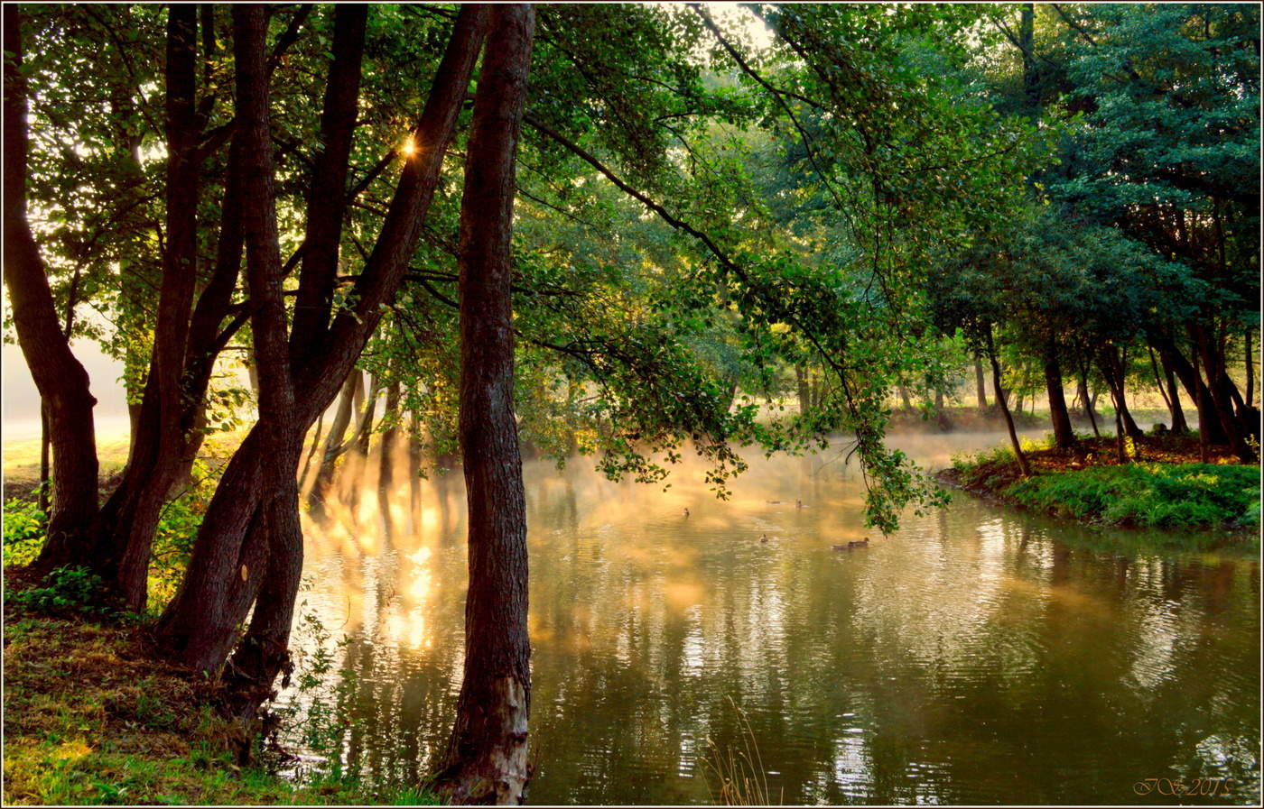 Das weckte die Enten)