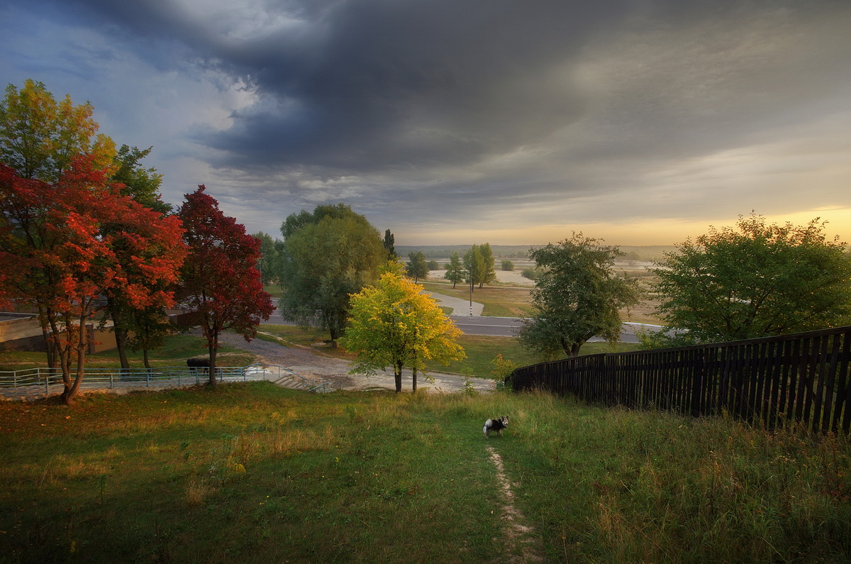 Schatten des Herbstes in den Morgen