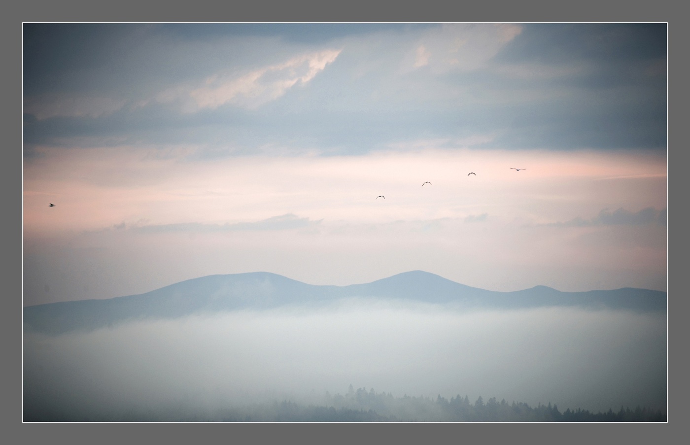 Goodbye my country fogs