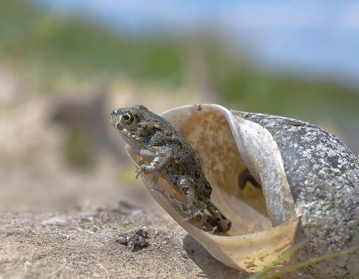 Hier ist sie, die große Welt.