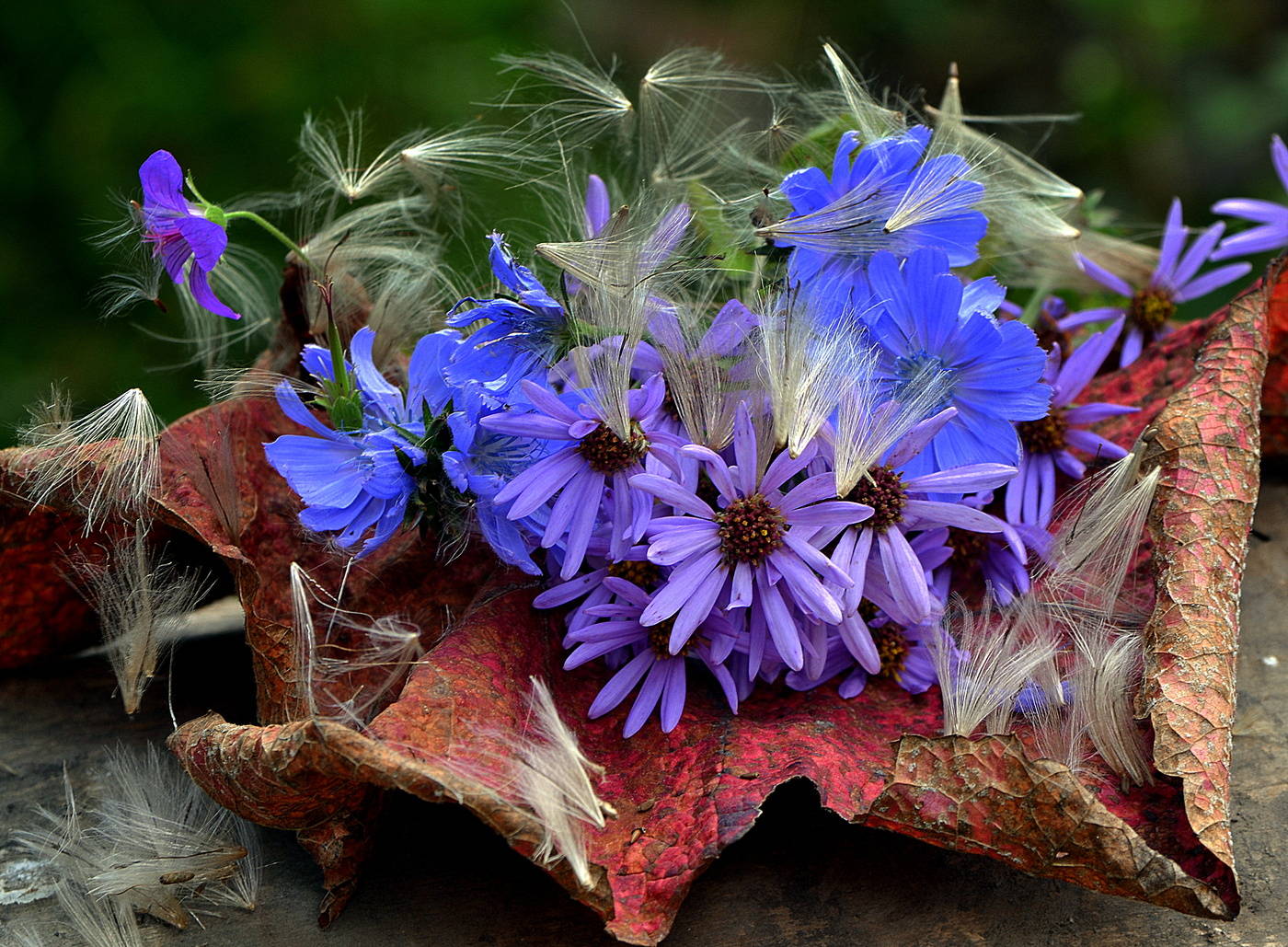 Herbst Zusammensetzung.
