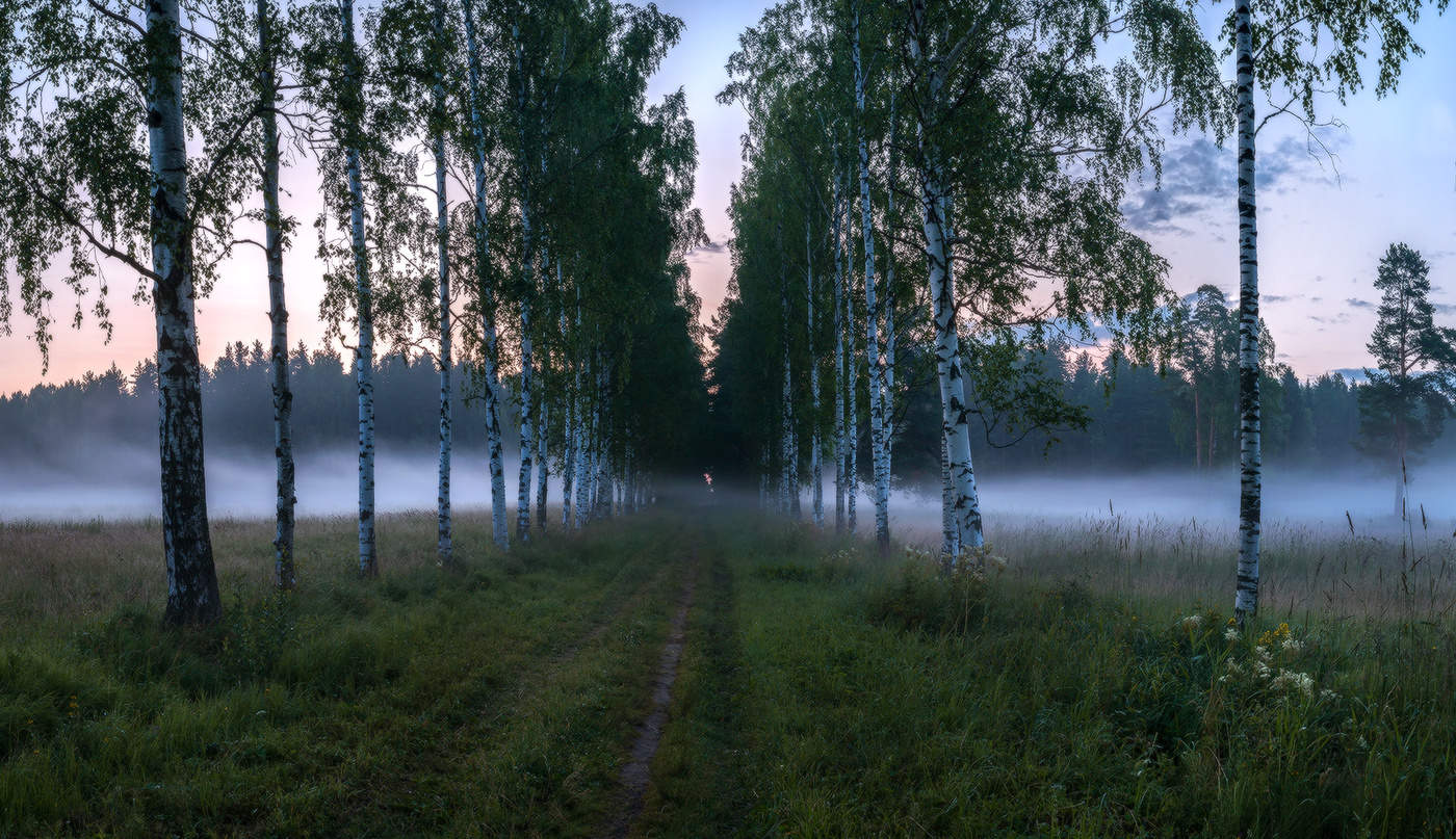 Gehen Sie durch die Gasse Frühjahr, zu Beginn zusammen mit dem Nebel.