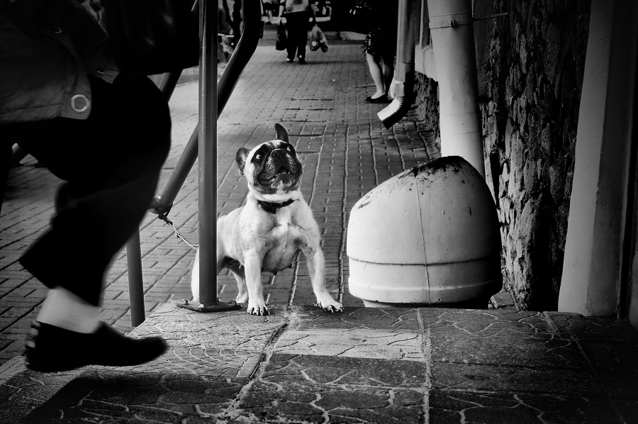 (cm. Option Beschreibung)