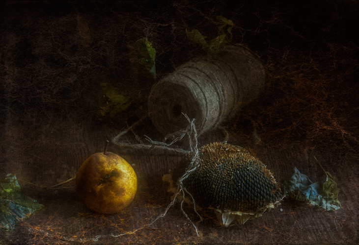 Web heißen Herbst ...