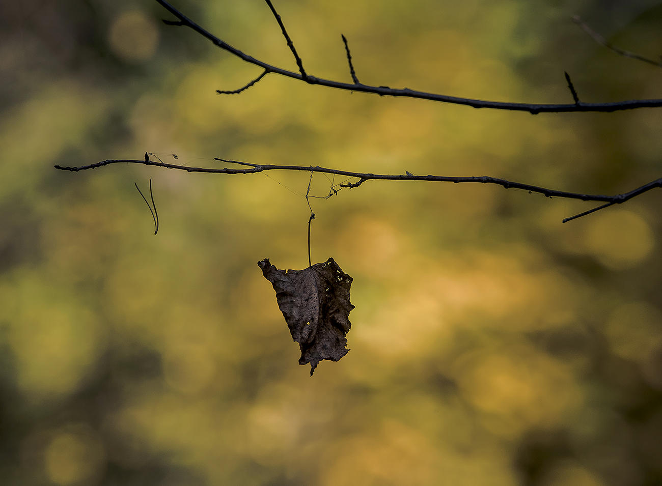 Nicht erreicht wird.