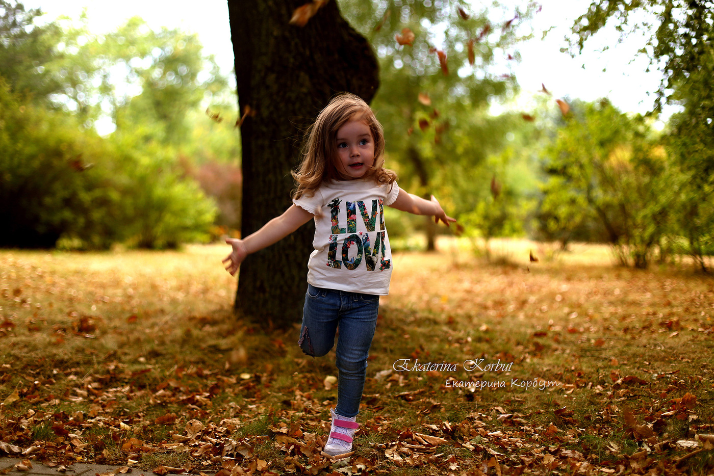 ... Grasshopper Libelle