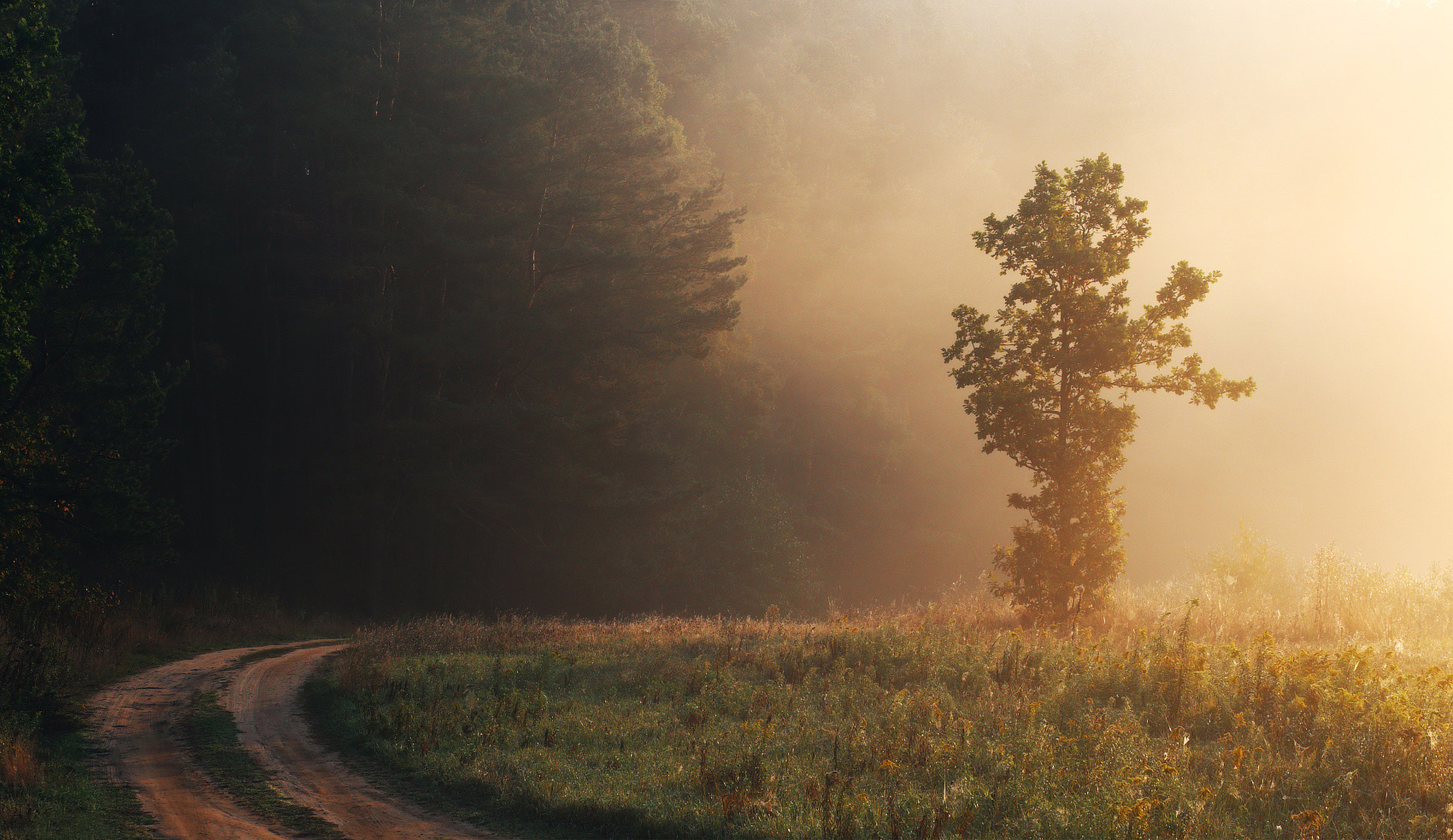 Applaus ..... Morgengrauen ....