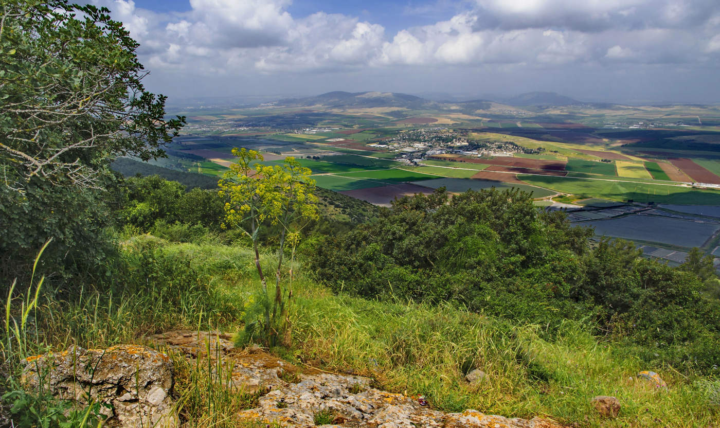 Frühling auf den Hängen des Mount Gilboa