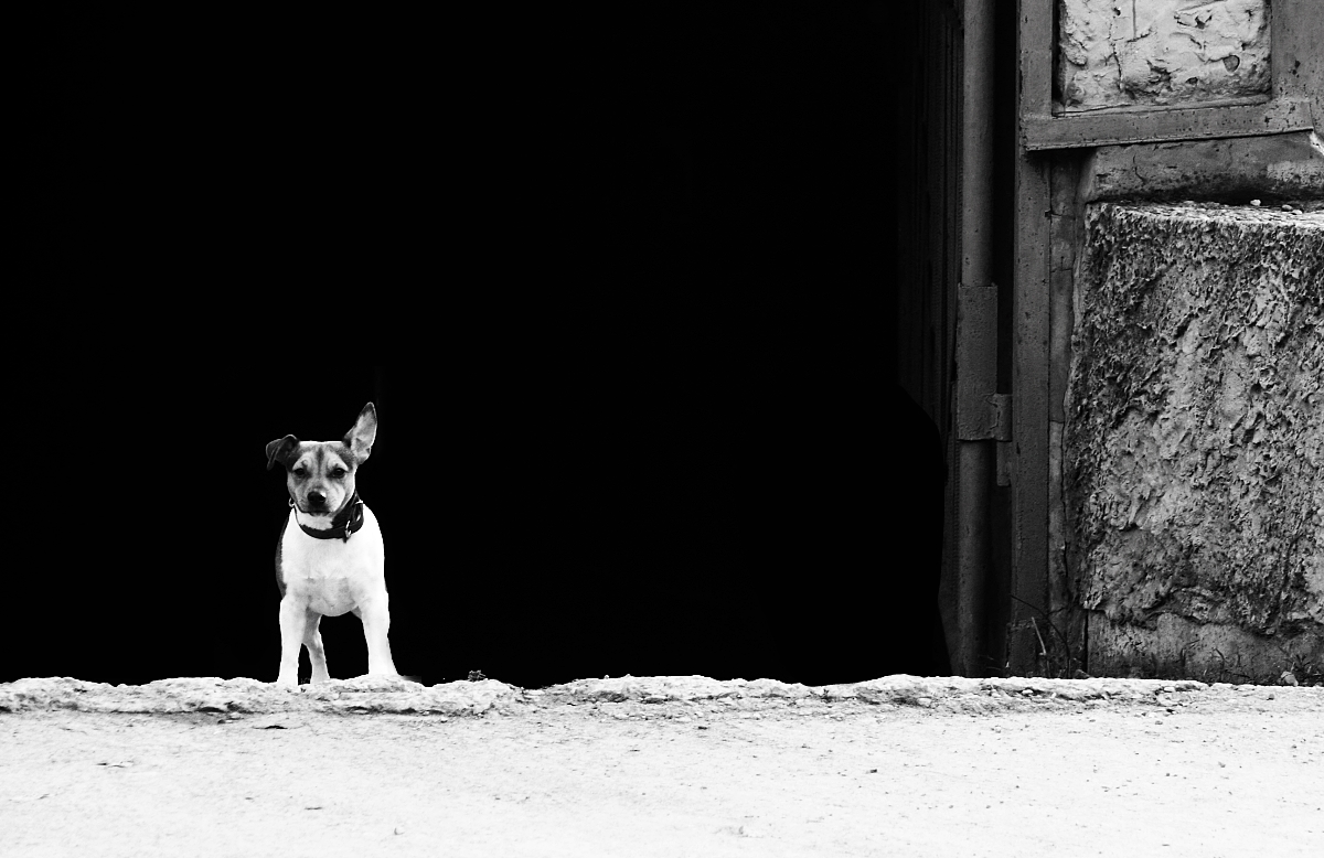 Nun, ich höre zu hören!