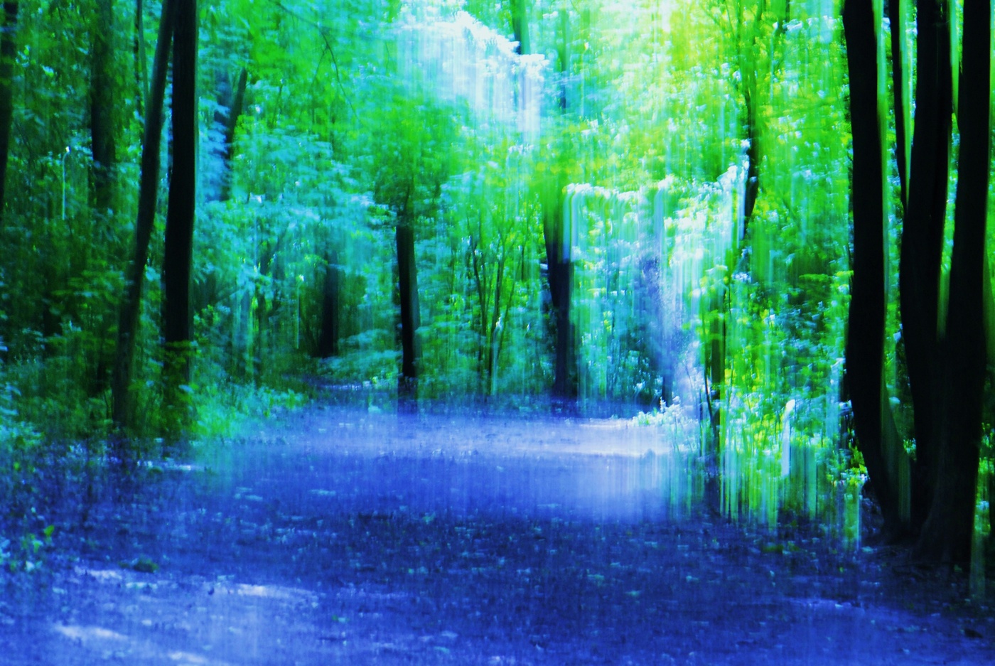 In der Juni-regen Wald ...