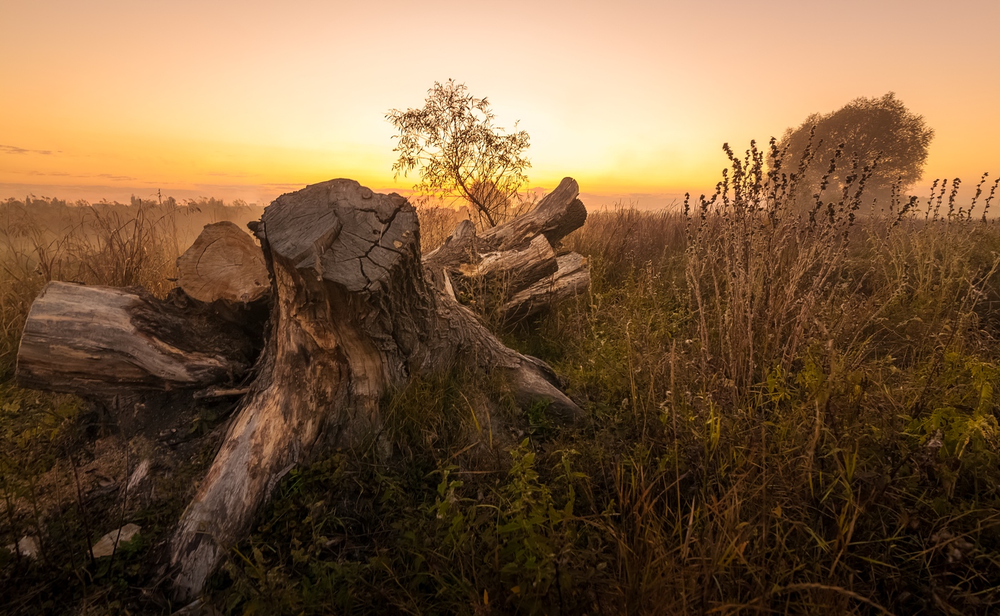 Es braucht Zeit, Staub von Jahrhunderten ...