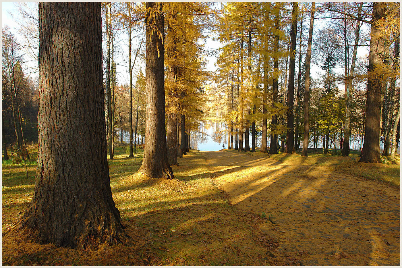 Der berühmte Steintreppe in Serednikovo