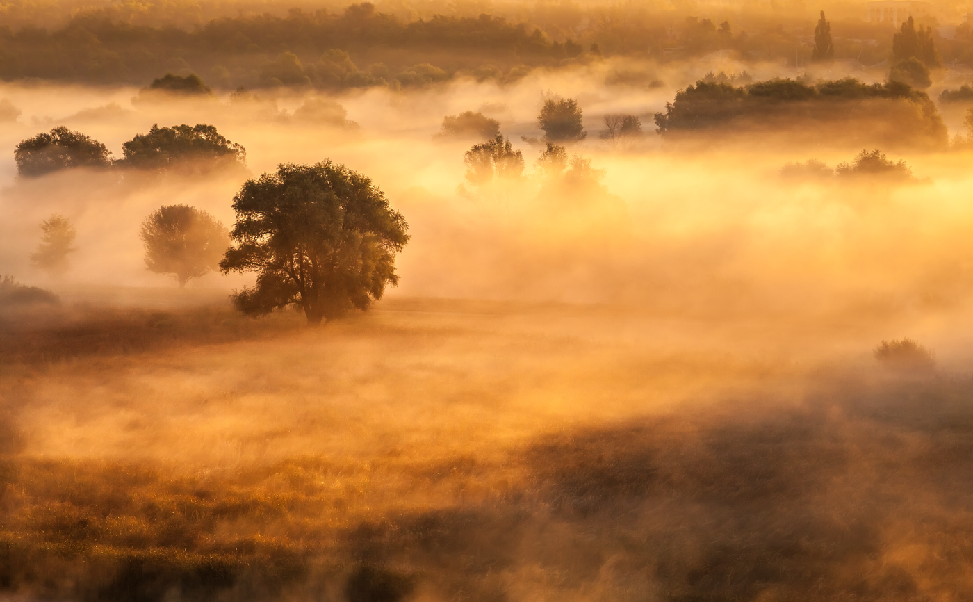 Glowing Herbst Lagerfeuer ...