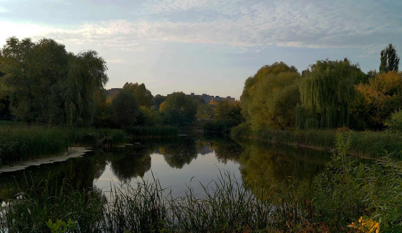 eine kleine Oase in der Stadt