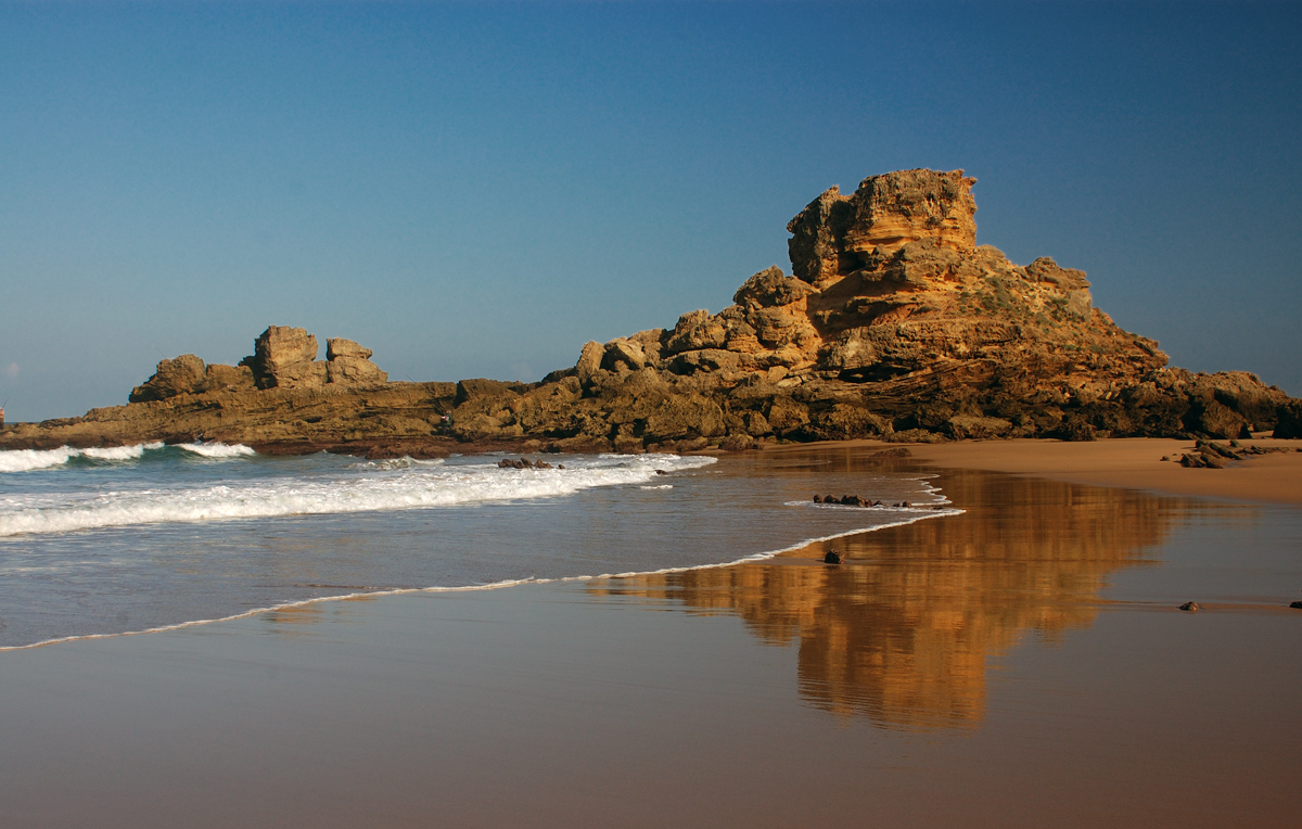 Study in goldenen Tönen