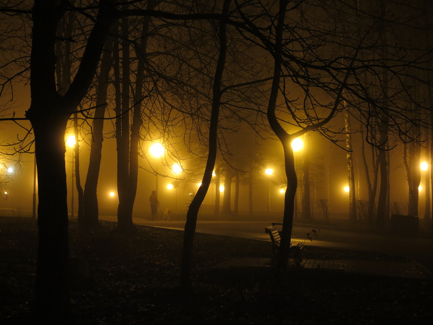 Am frühen Morgen des Spätherbst