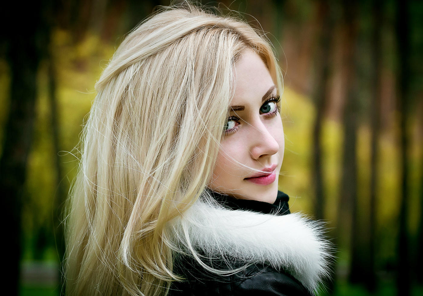 Xenia ... suchen ...