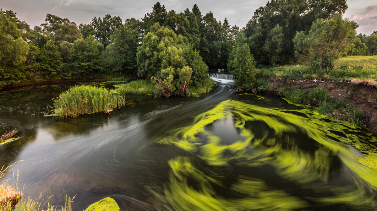 Das Reich I Vodokruta