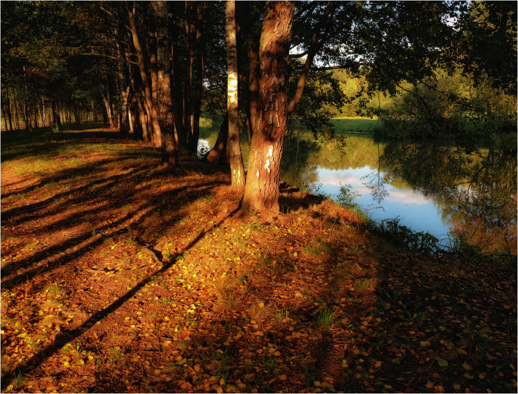 ... Autumn Geometrie ...