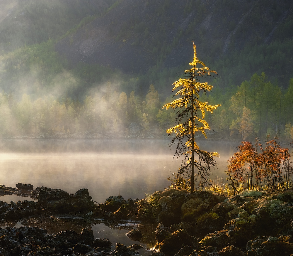 Septembersonne erwärmt ...