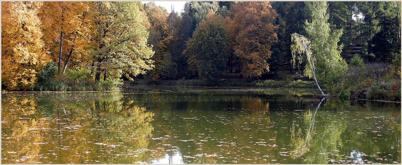 Pond in Serednikovo