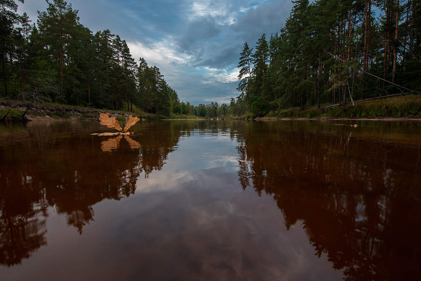 Gelbes Blatt schwimmt auf dem kalten Wasser.