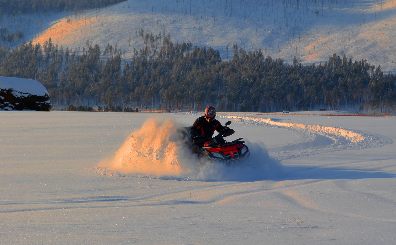 Die Explosion der Neuland!