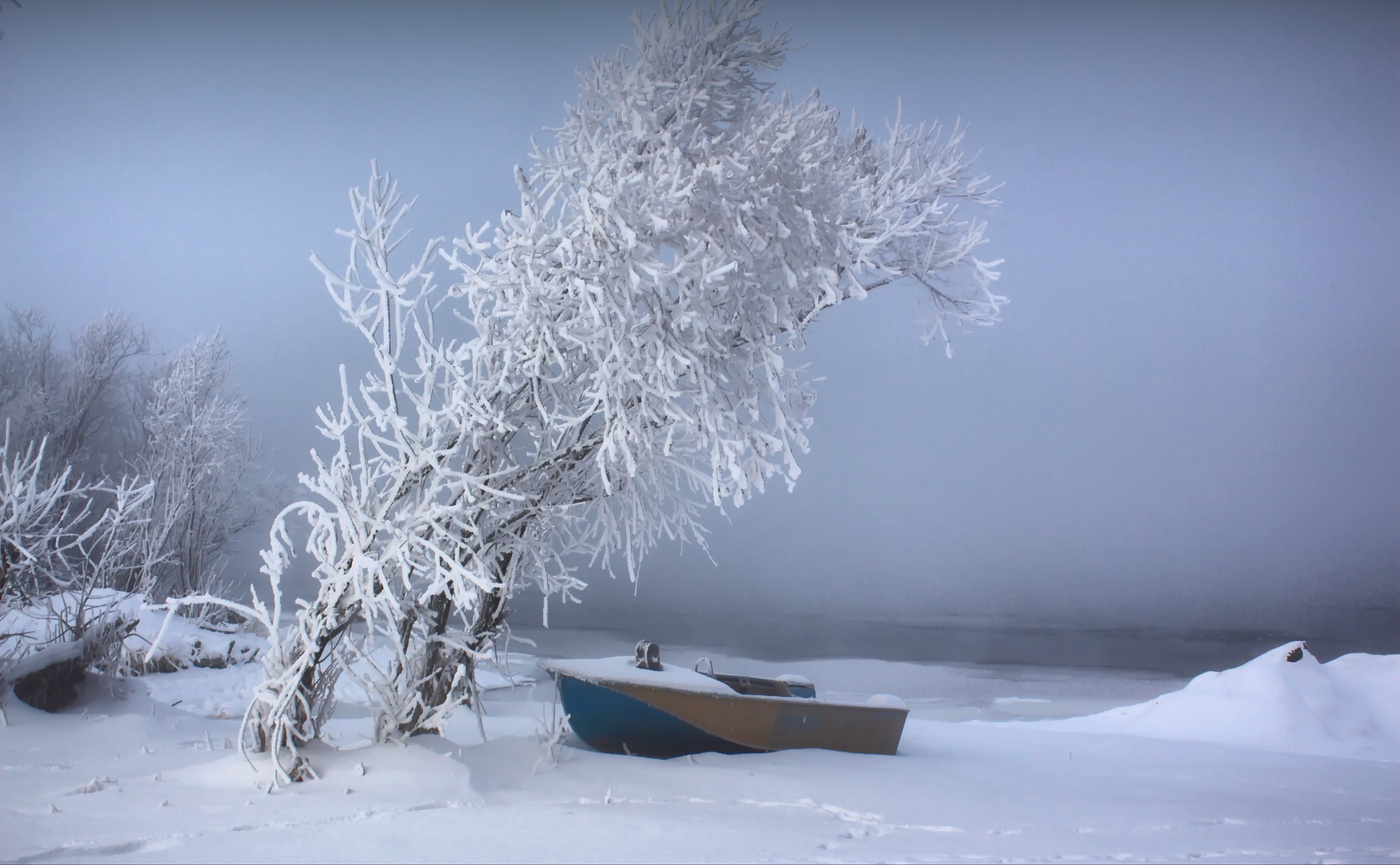bis zum Frühjahr ...