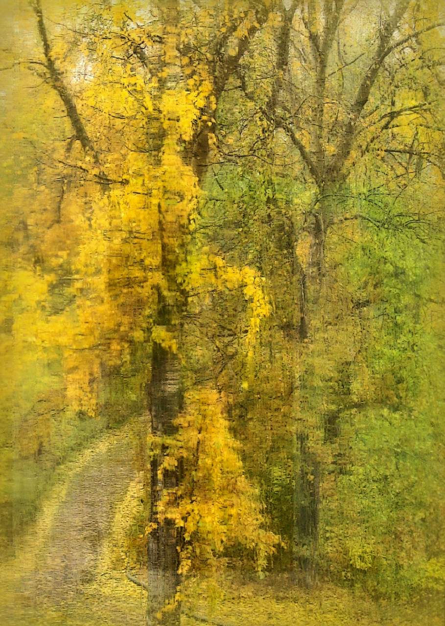 Morgen tridtsatosentyabrskoe