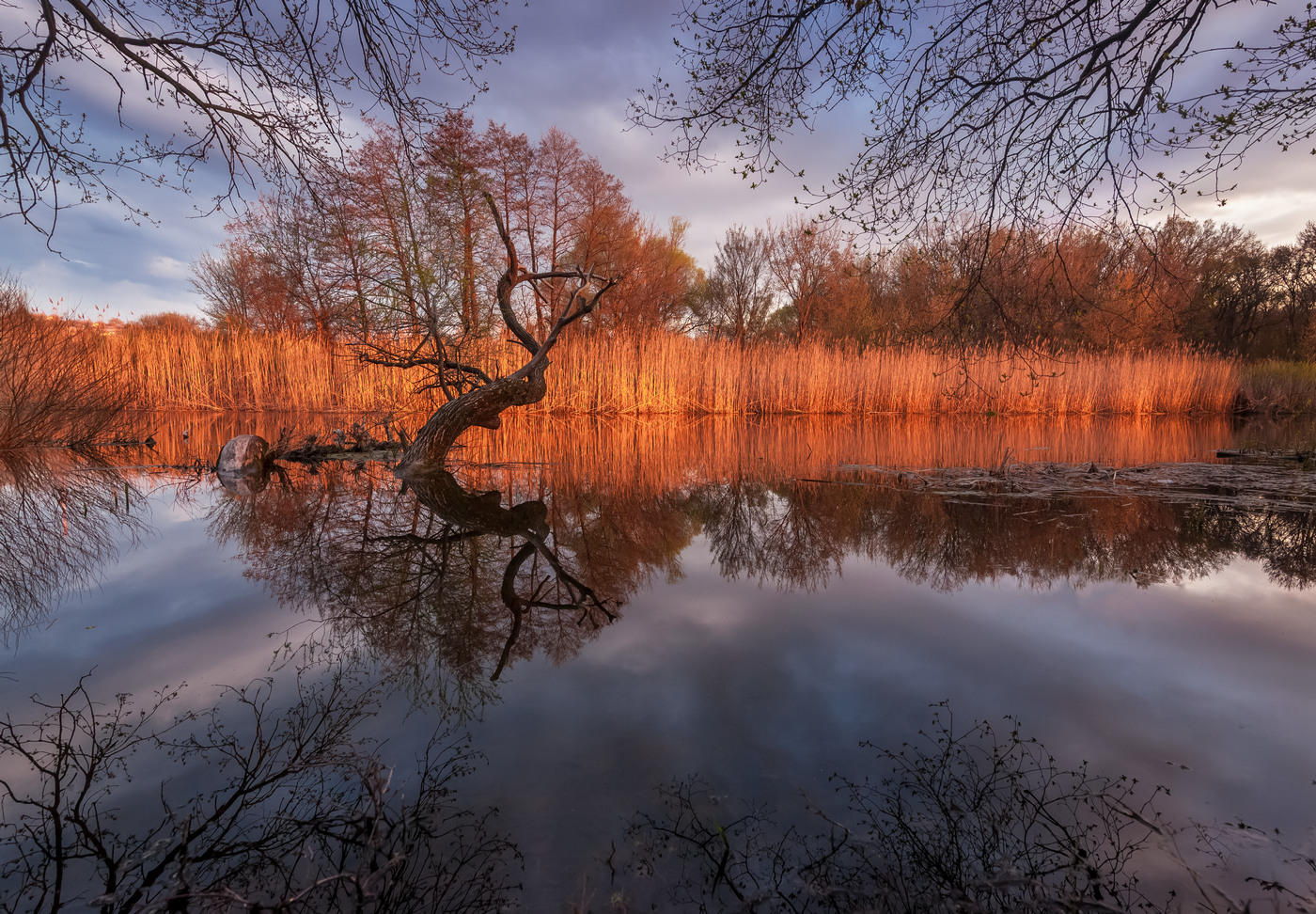 Patterns blauen Morgen