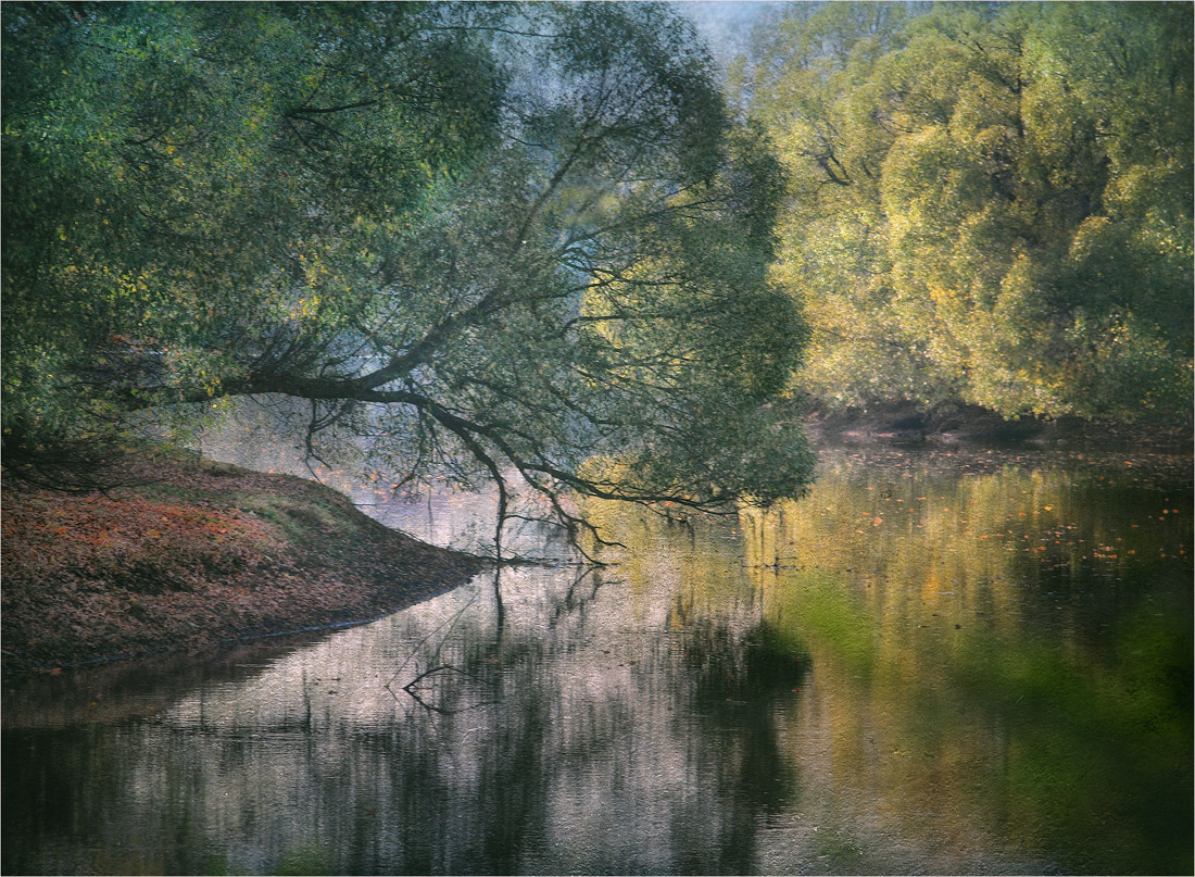 Im Spiegel des Teiches