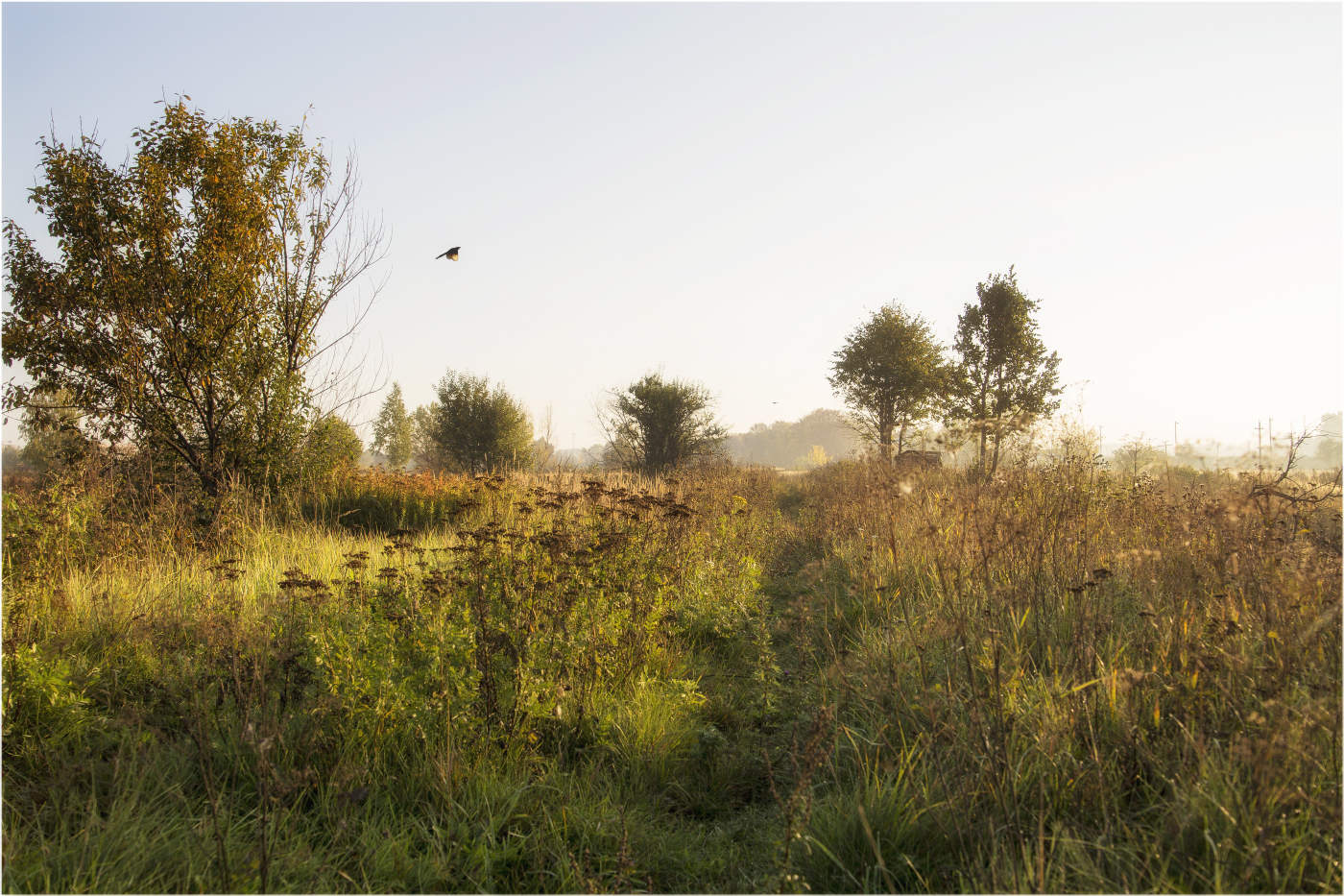 Stoppen Sie einen Moment ...