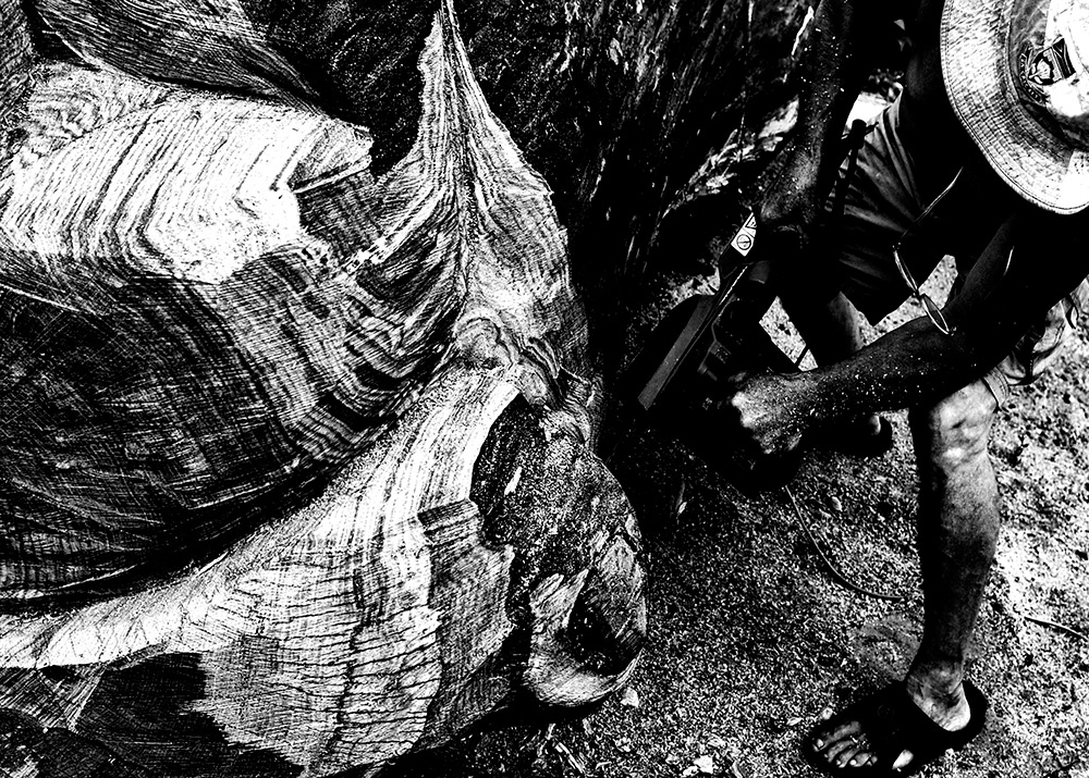 Mein Freund - Künstler und Dichter