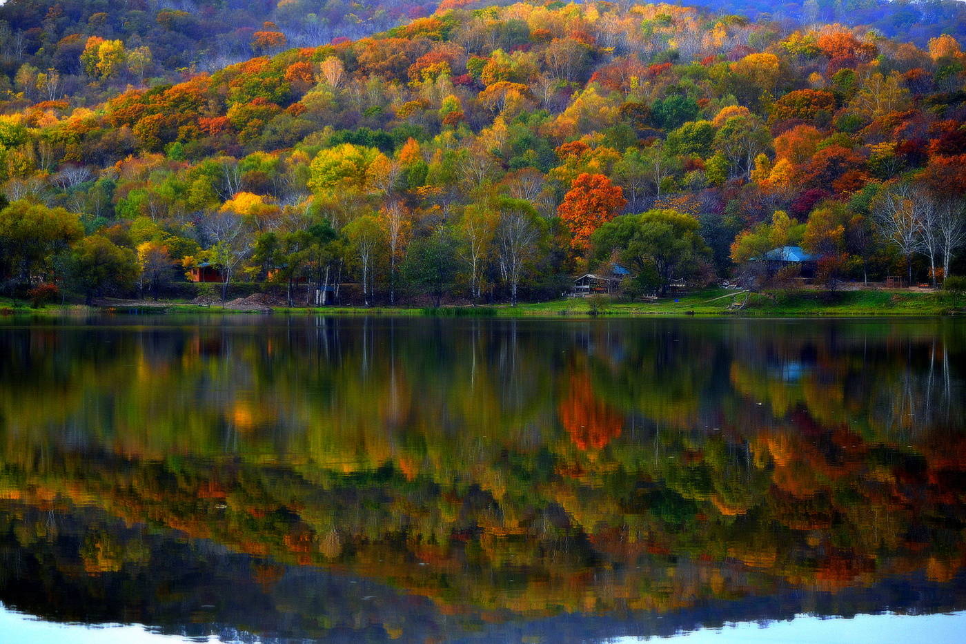 Der Purpur und Gold gekleidete Wälder ...