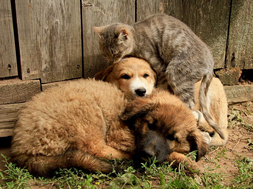 Es ist gut eingelebt!