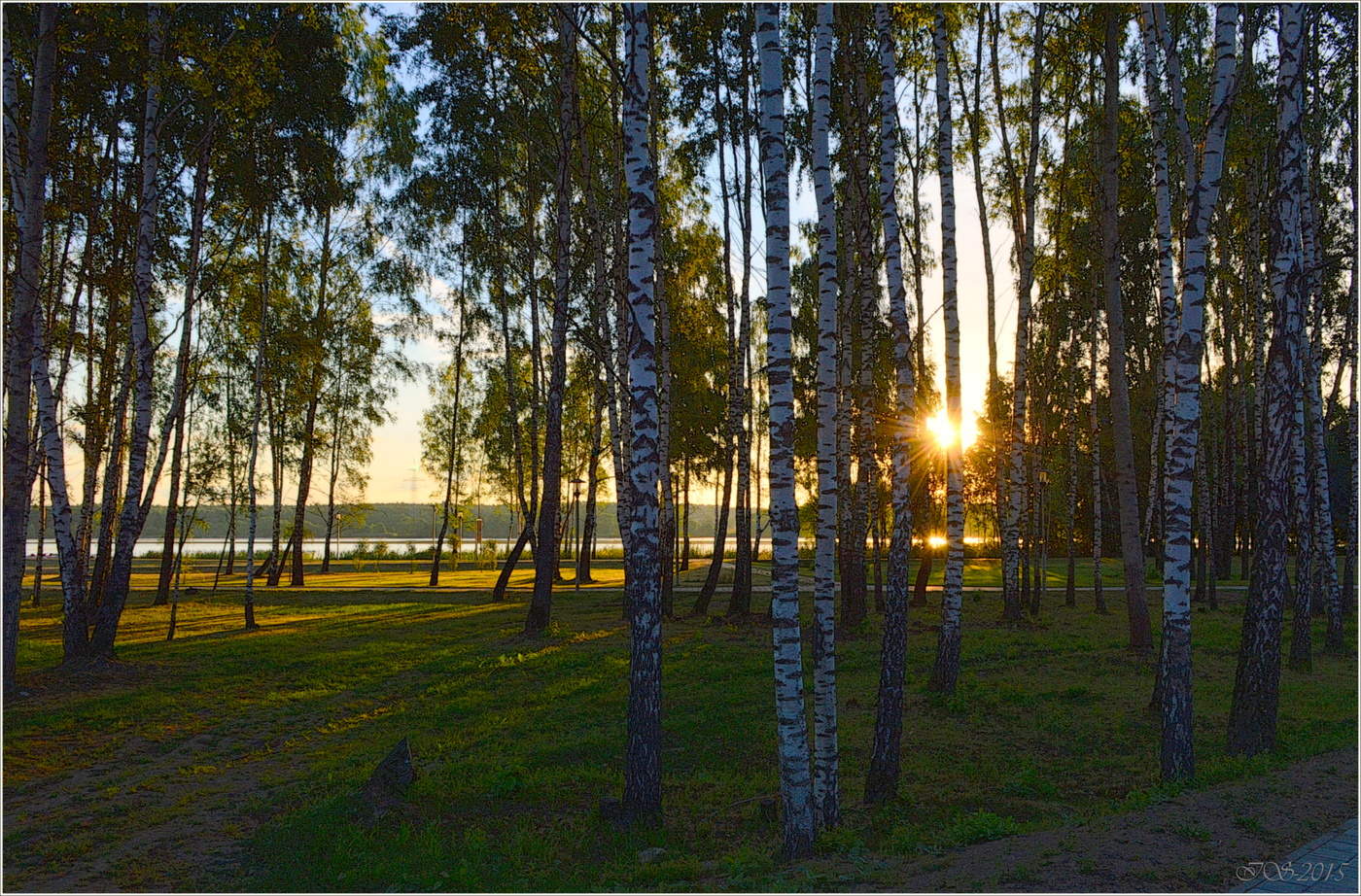 Morgen kommt in den Park