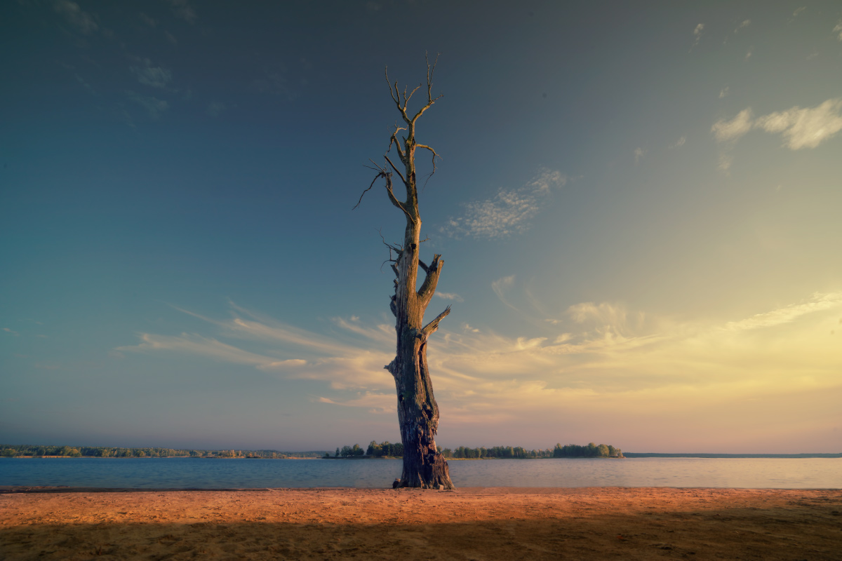 Letzte warmen Abend im Jahr 2015