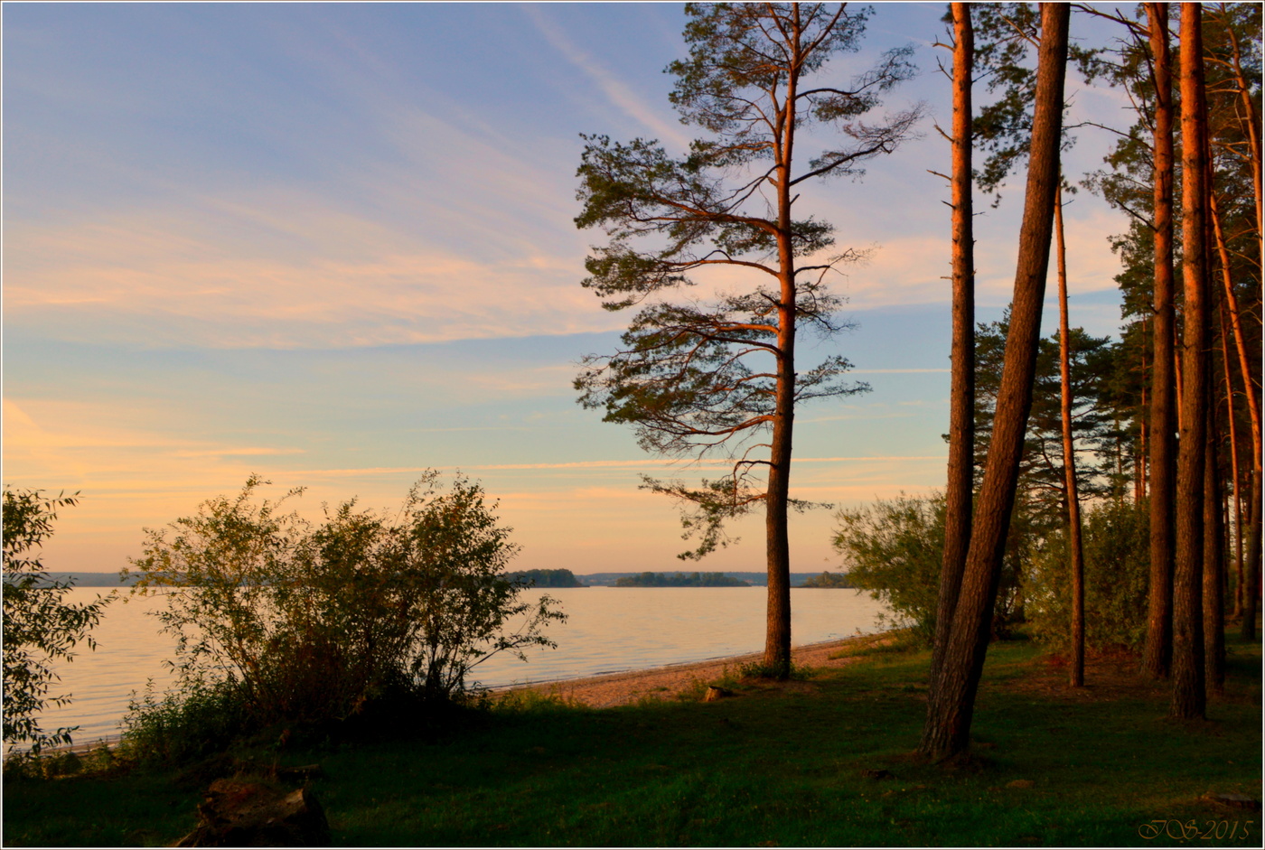 Abend, Strand, Pinien