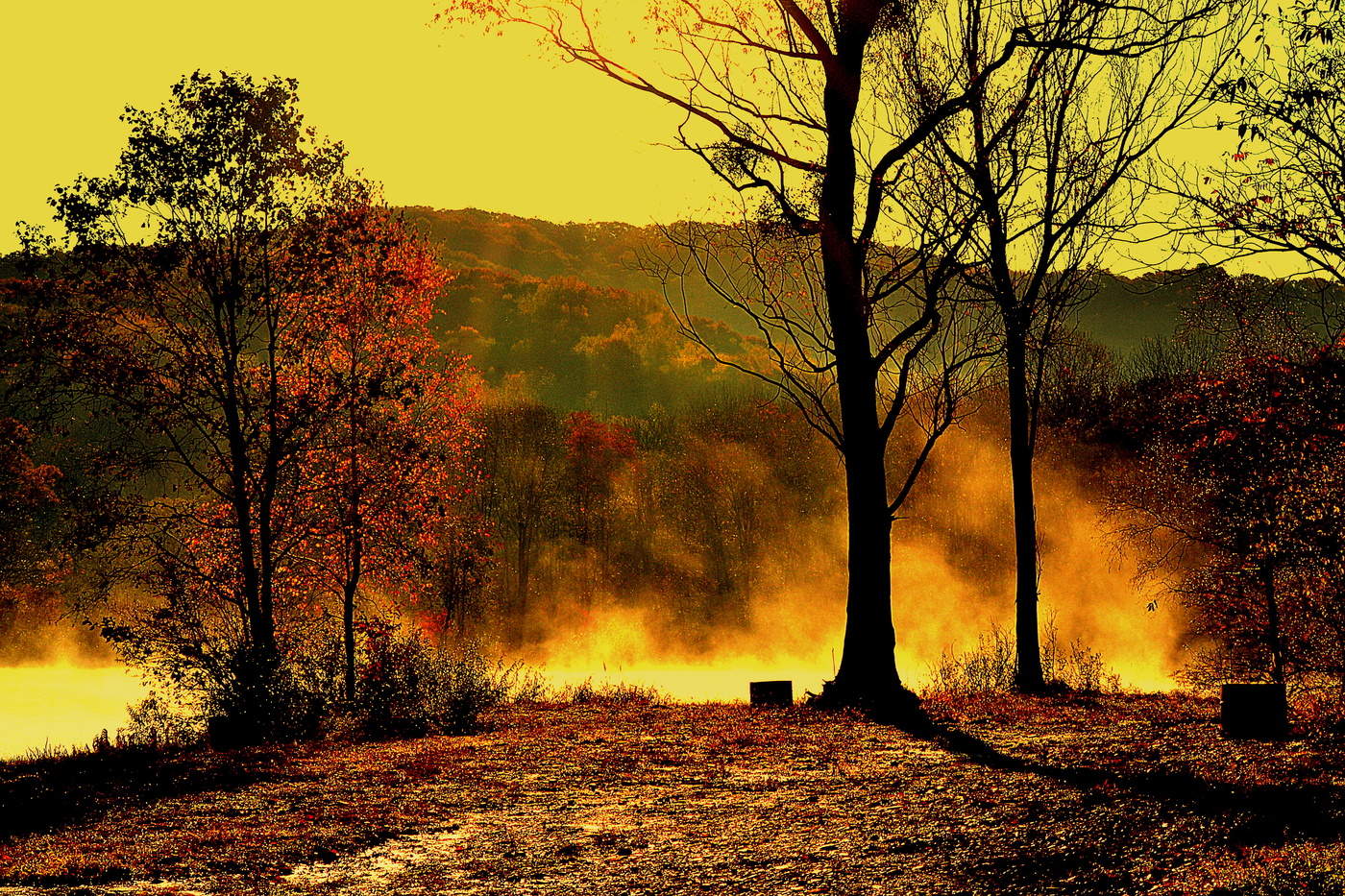 Fall wieder, ich beraubt Rest ,,,