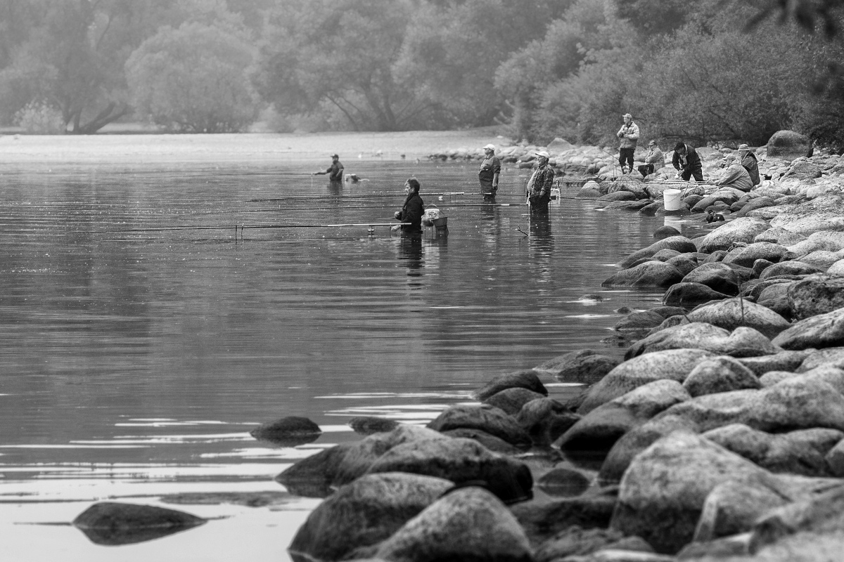 Alle warten auf Ihre ...