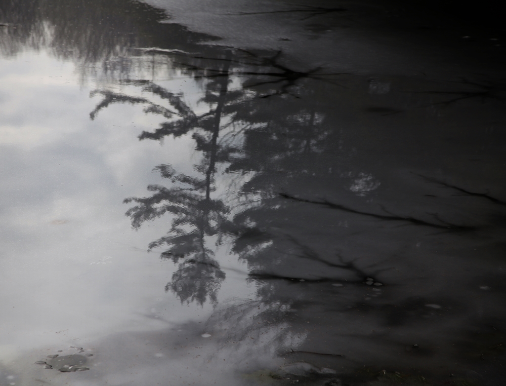 Hundert Jahre Einsamkeit